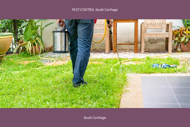 PEST CONTROL South Carthage